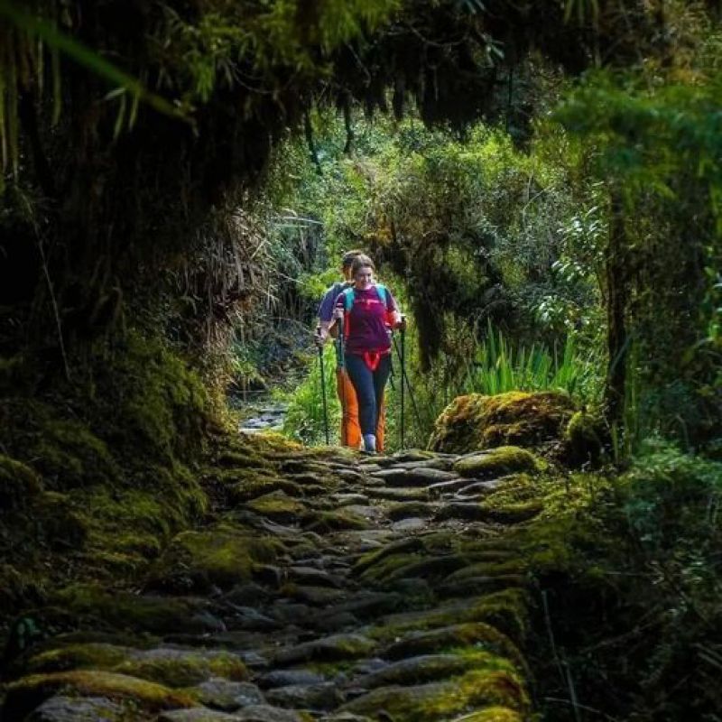 Sobre el Camino Inca  desde Chile