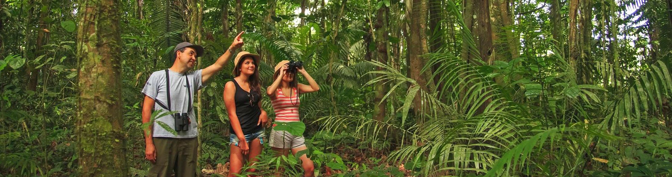 Reserva Tambopata, Puerto Maldonado  desde Chile