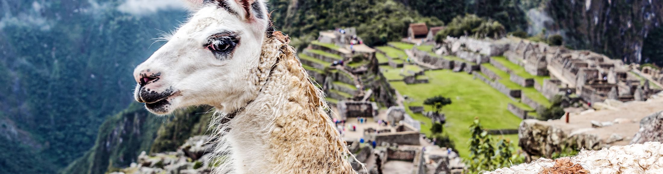 Machu Picchu 8D7N Viajero (Full Cultural)  desde Chile